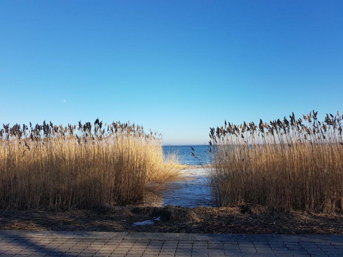 Smeltė - Holiday Apartment in Juodkrantė Buitenkant foto
